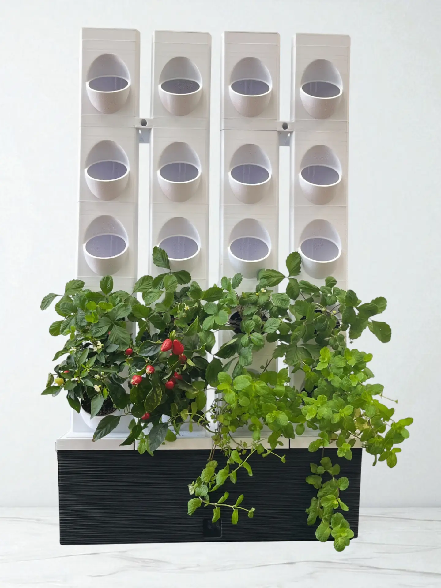 MikroGarden Zöld Fal - Image 2