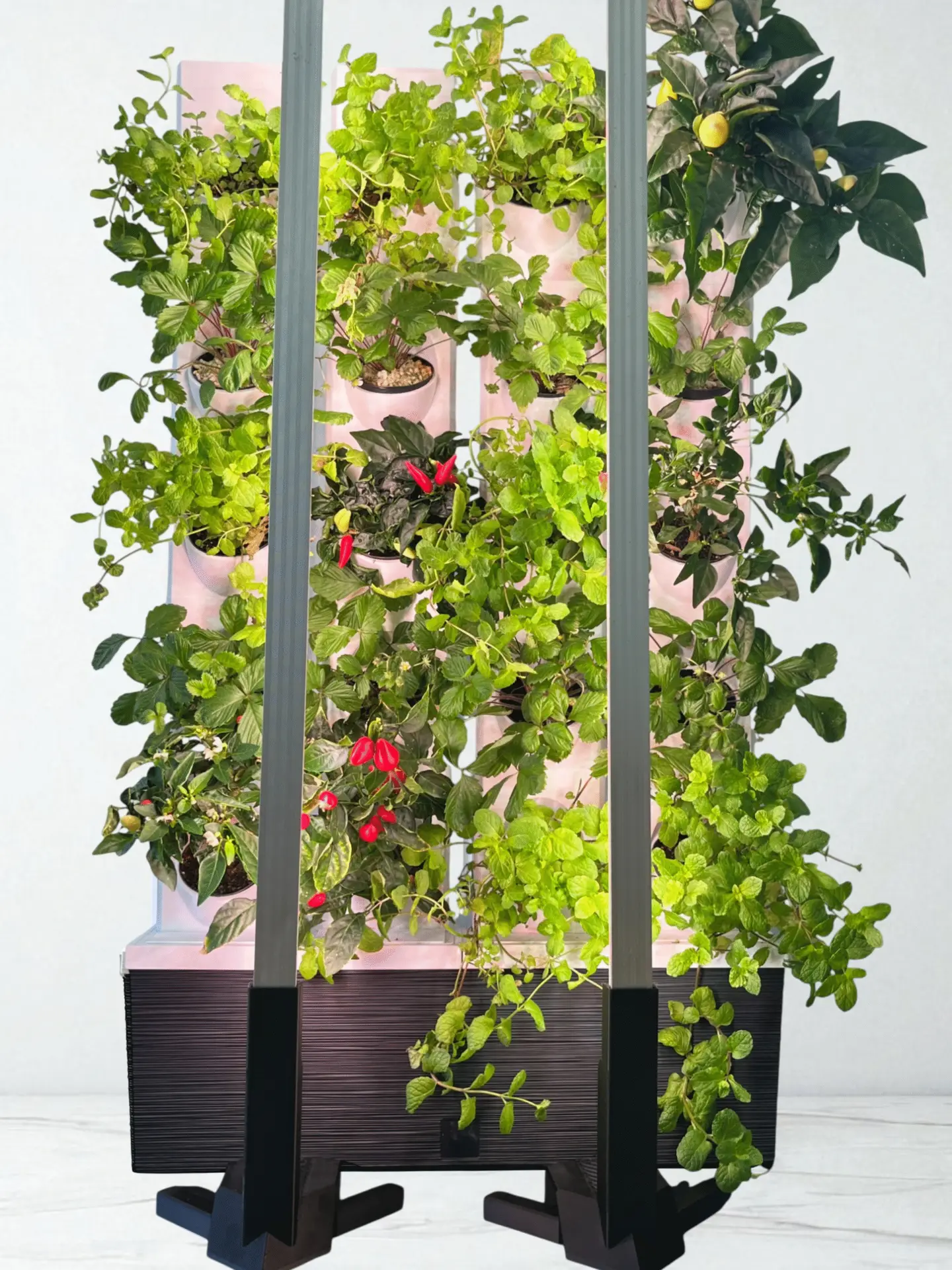 MikroGarden Zöld Fal - Image 3