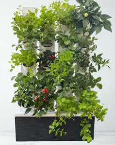 MikroGarden Green Wall 20 - 20 növény
