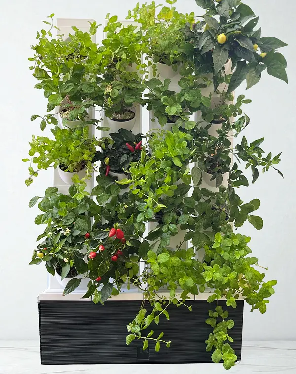 MikroGarden Green Wall 20 - 20 növény