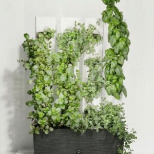 MikroGarden Zöld Fal 16 - Lámpa nélkül